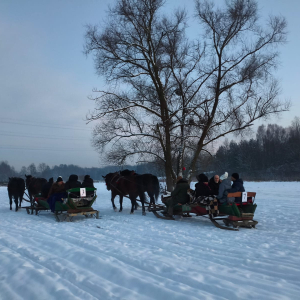 Zimowa aura i konie ciągnące sanie