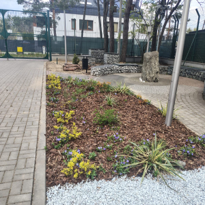 Efekty pracy - uporządkowany ogród DPS