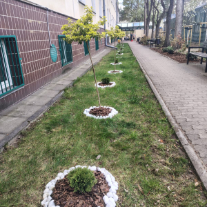 Efekty pracy - wyłożone kamyczkami alejki przy DPS