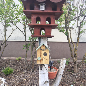 Efekty pracy - nowy karmnik w ogródku przy budynku